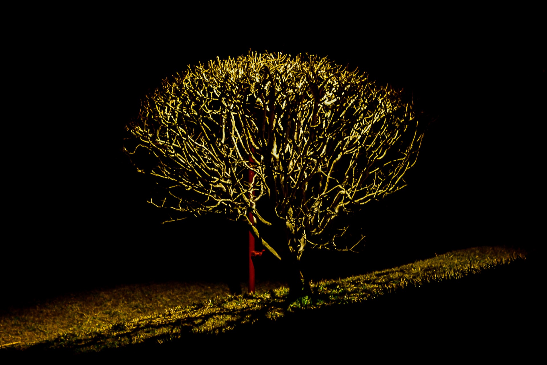 Light Painting